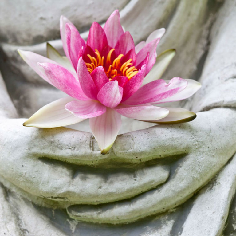 epigenetika-jako-soucast-duchovni-cesty-23-10-2018