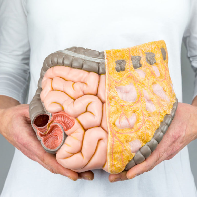 tajemny-svet-uvnitr-nasich-strev-bakterie-ovlivnuji-nase-zdravi-i-genetickou-informaci-17-12-2018