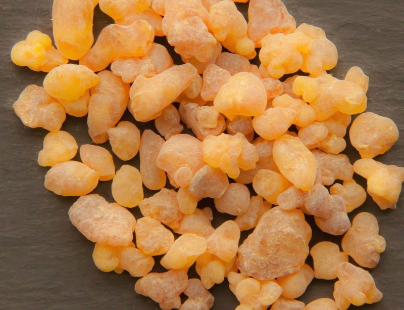 boswellia-sacra-1590063_1920