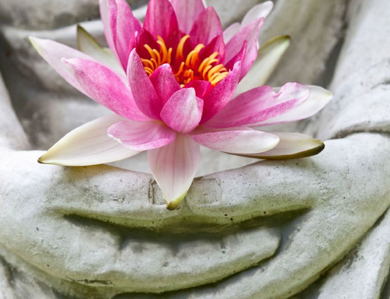 epigenetika-jako-soucast-duchovni-cesty-23-10-2018