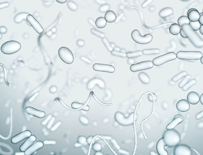 epivyziva-cz-12-tipu-pro-harmonii-uvnitr-strev--kompletni-pruvodce-pro-zdravejsi-jidelnicek-25052021