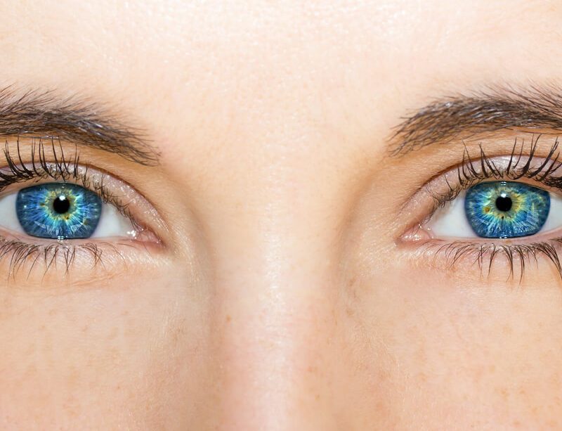 epivyziva-cz-5-potravin-pro-lepsi-funkci-oci-30082022