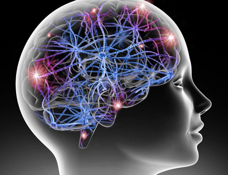 epivyziva-cz-biohacking-z-pohledu-epigenetiky-cesta-k-lepsi-verzi-sebe-sama--21032022