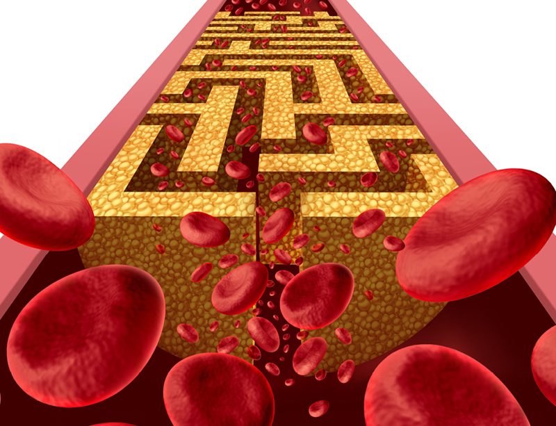 epivyziva-cz-fungujici-mozek-zrak-i-sluch-klicem-je-prokrveni