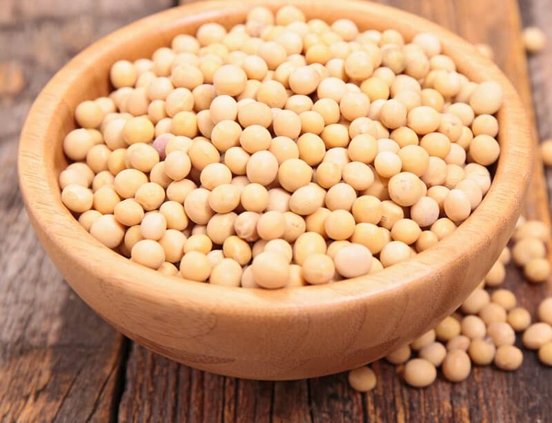 epivyziva-cz-genistein-29062022