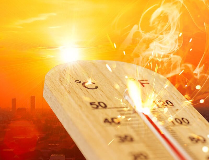 epivyziva-cz-jak-prezit-horko-pomuze-aklimatizace-i-bylinky-17082022