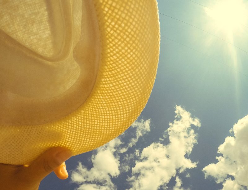 epivyziva-cz-muj-vnitrni-opalovak-ziviny-ktere-vas-ochrani-pred-sluncem-a-horkem-070620204