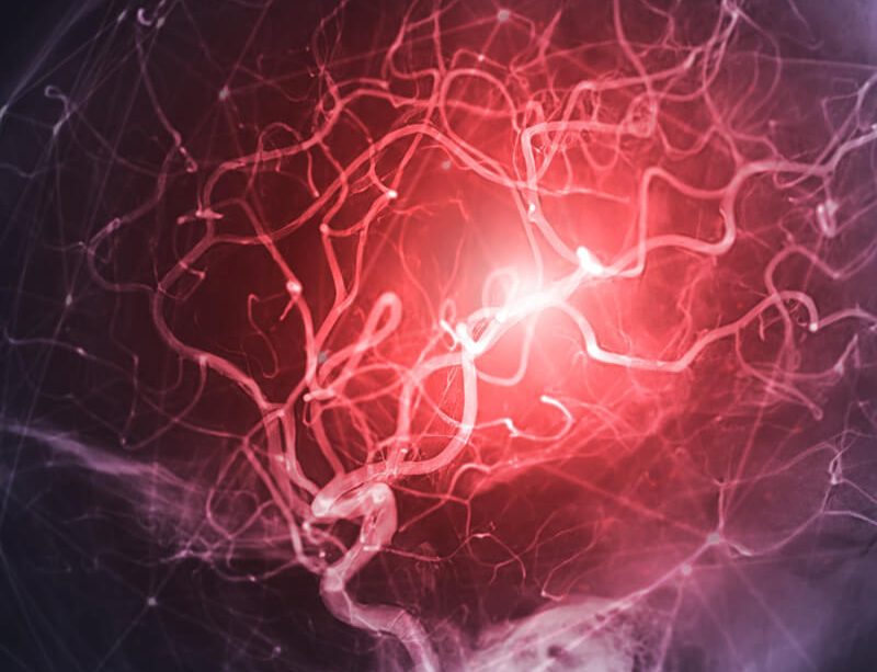 epivyziva-cz-podporte-mozek-primo-v-mozku-ktere-prirodni-latky-se-do-nej-skutecne-dostanou-25102023