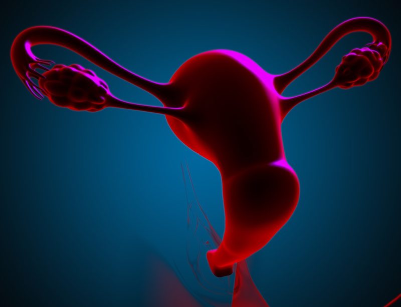 epivyziva-cz-polycysticke-vajecniky-jak-si-pomoci-prirodni-cestou-11032024