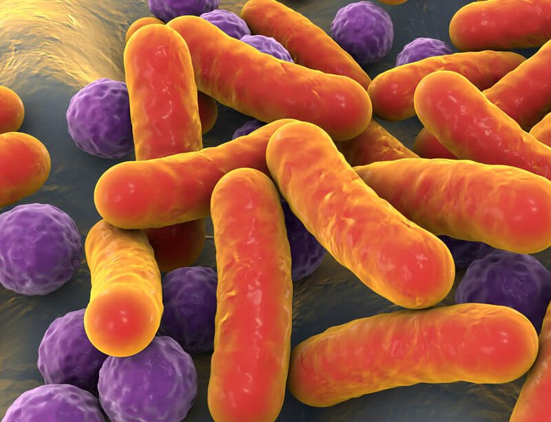 epivyziva-cz-zahady-strevniho-mikrobiomu-cesta-k-fungujici-imunite-03102022