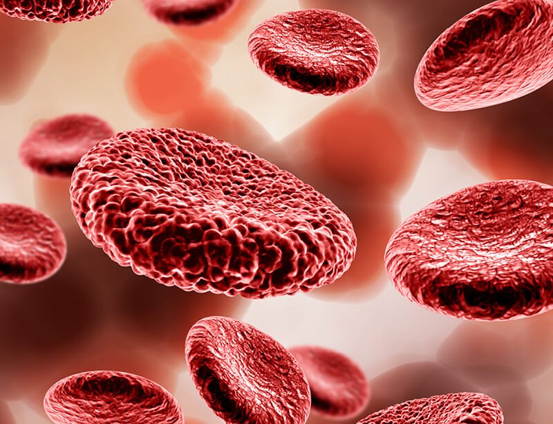 epivyziva-lexikon-nemoci-chudokrevnost