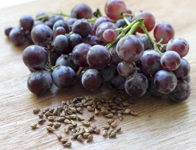 15400198 - grapes and grape seeds on the table