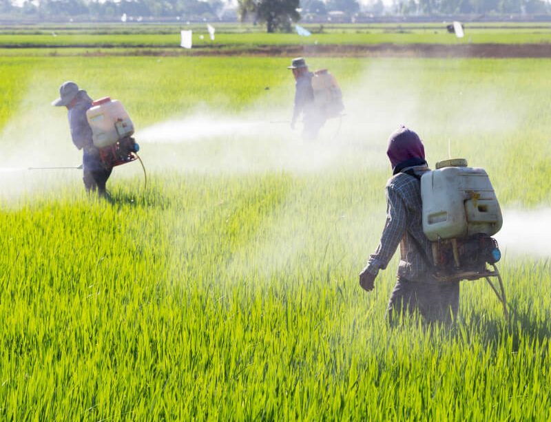 skryte-jedy-kolem-nas-jak-ovlivnuji-nase-geny-27072020