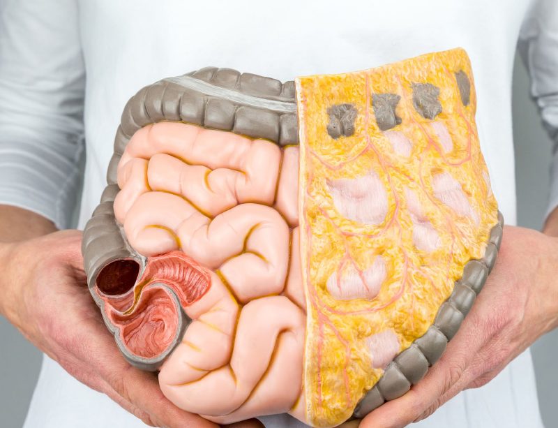 tajemny-svet-uvnitr-nasich-strev-bakterie-ovlivnuji-nase-zdravi-i-genetickou-informaci-17-12-2018